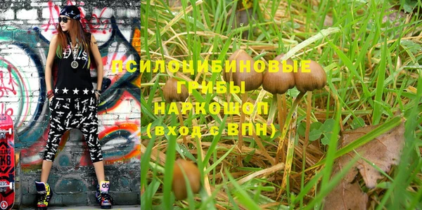PSILOCYBIN Ростов